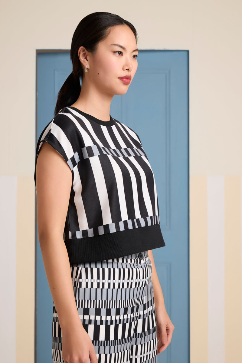 Monotone Maze Top Co-ord Set